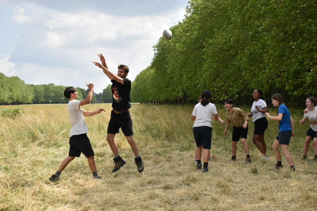 Activités pendant l'année
