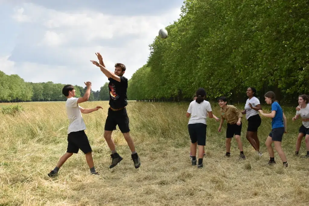 Activités pendant l'année