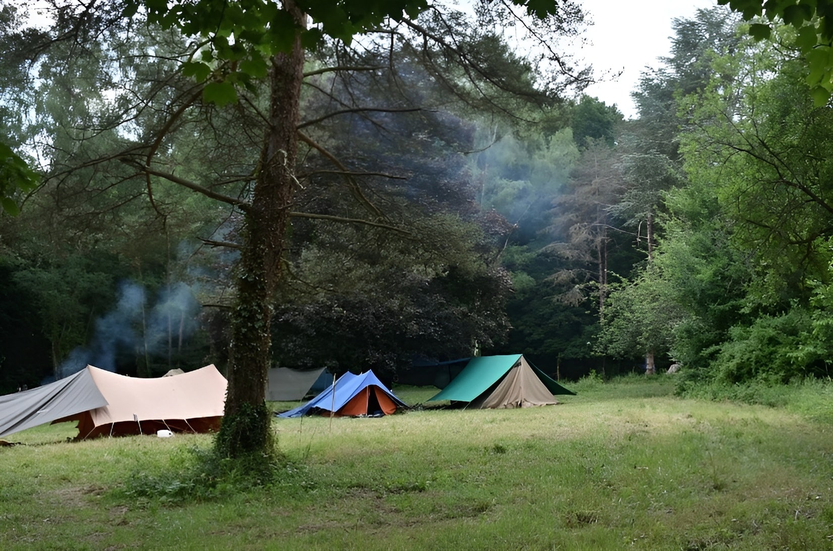 Éclaireuses et Éclaireurs Laïques de Paris en forêt